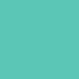DMC Stranded Cotton 100g Cone 959 Sea Green Med (Art 5214)
