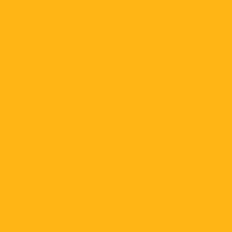 DMC Stranded Cotton 100g Cone 972 Canary Deep (Art 5214)