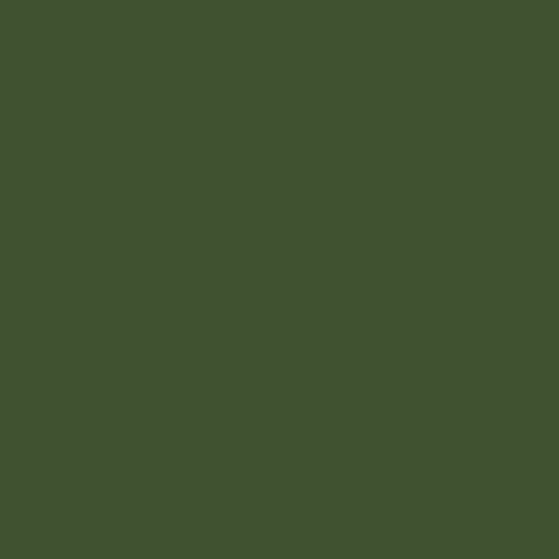 DMC Stranded Cotton 100g Cone 986 Forest Green Vy Dk (Art 5214)