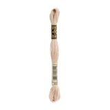 DMC 950 Light Desert Sand Stranded Cotton Embroidery Floss