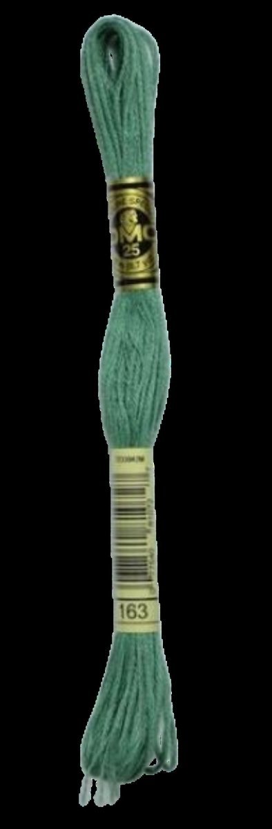DMC 163 Medium Caledon Green Stranded Cotton Embroidery Floss