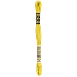 DMC 18 Yellow Plum Stranded Cotton - Crafty Hobbies Australia