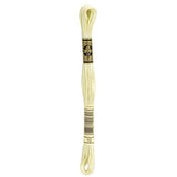 DMC 10 Almond Stranded Cotton Embroidery Floss