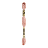 3779 Ultra Very Light Terra Cotta Stranded Cotton