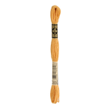 DMC 3854 Medium Autumn Gold Stranded Cotton