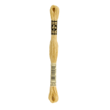 676 Light Old Gold Stranded Cotton
