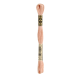 754 Light Peach Stranded Cotton